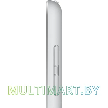 Планшет Apple iPad 10.2" 2020 32GB MYLA2 (серебристый) картинка 4